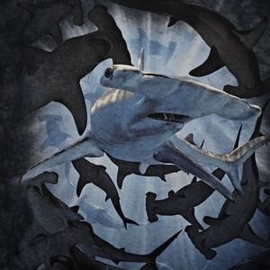 The Mountain Hammer Head Shark Shirt Adult Large Gray Mens Graphic Tie Dye Tee